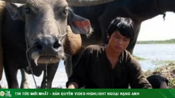 Đóng phim cùng… 300 con trâu, dàn sao Việt kể chuyện “dở khóc dở cười” kenhtingame com thumb dong phim cung 300 con trau dan sao viet ke chuyen do khoc do cuoi dfdd1776650337036 940w