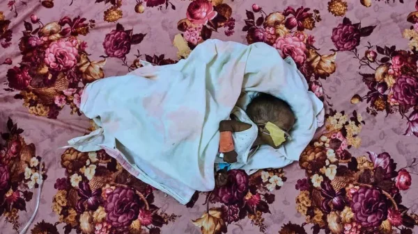 Hàng triệu người tại Sudan sống sót chỉ với 1 bữa ăn mỗi ngày kenhtingame com thumb hang trieu nguoi tai sudan song sot chi voi 1 bua an moi ngay fa011776485069287 940w