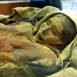 Khai quật xác ướp "công chúa ngủ trong rừng" 4.000 năm tuổi, chuyên gia giám định ADN phát hiện danh tính không ngờ kenhtingame com thumb khai quat xac uop quot cong chua ngu trong rung quot 4000 nam tuoi chuyen gia giam dinh adn phat hien danh tinh khong ngo 2efb1775271151934 940w