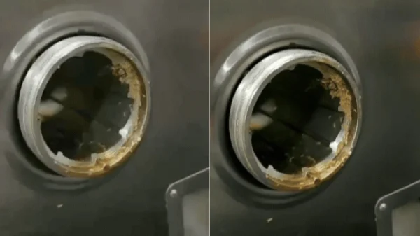 Kiểm tra “bếp ăn đạt chuẩn” của trường, phụ huynh ám ảnh khi thấy giòi bò lúc nhúc trong máy xay thịt kenhtingame com thumb kiem tra bep an dat chuan cua truong phu huynh am anh khi thay gioi bo luc nhuc trong may xay thit b1281775192914831 940w