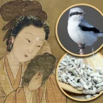 Mỹ nhân quyền lực nhất nhà Thanh dùng phân chim để giữ gìn nhan sắc? kenhtingame com thumb m nhan quyen luc nhat nha thanh dung phan chim de giu gin nhan sac 59191775138247745 940w