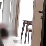 Mới sinh ở bệnh viện gọi cho chồng không được, cô vợ check camera rồi bất ngờ nhận ra "vật thể lạ" di chuyển lên giường mình kenhtingame com thumb moi sinh o benh vien goi cho chong khong duoc co vo check camera roi bat ngo nhan ra quot vat the la quot di chuyen len giuong minh d3b21775210714884 940w