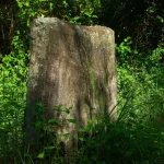 Một sinh viên vô tình tìm thấy hòn đá được giấu kín trong khu rừng ở Anh, dẫn đến một bí mật 3.700 năm kenhtingame com thumb mot sinh vien vo tinh tim thay hon da duoc giau kin trong khu rung o anh dan den mot bi mat 3700 nam 82201777422045680 940w