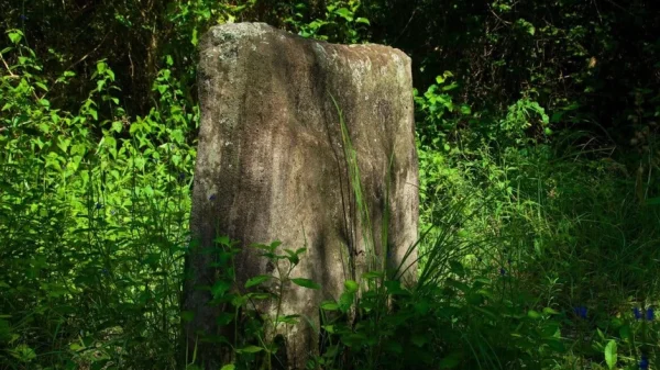 Một sinh viên vô tình tìm thấy hòn đá được giấu kín trong khu rừng ở Anh, dẫn đến một bí mật 3.700 năm kenhtingame com thumb mot sinh vien vo tinh tim thay hon da duoc giau kin trong khu rung o anh dan den mot bi mat 3700 nam 82201777422045680 940w