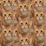 Một tựa game "free 100%" trên Steam nhận điểm số 9/10, người chơi rating "đỉnh của chóp" kenhtingame com thumb mot tua game quot free 100 quot tren steam nhan diem so 9 10 nguoi choi rating quot dinh cua chop quot a4031776148704095 940w