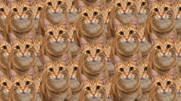 Một tựa game "free 100%" trên Steam nhận điểm số 9/10, người chơi rating "đỉnh của chóp" kenhtingame com thumb mot tua game quot free 100 quot tren steam nhan diem so 9 10 nguoi choi rating quot dinh cua chop quot a4031776148704095 940w