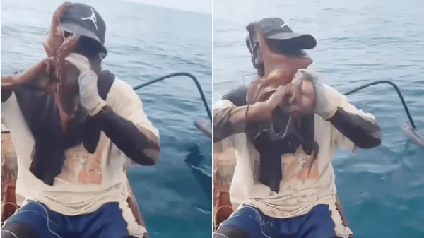 Ngư dân bị bạch tuộc "nuốt chửng" toàn bộ khuôn mặt, 8 xúc tu siết chặt như phim kinh dị kenhtingame com thumb ngu dan bi bach tuoc quot nuot chung quot toan bo khuon mat 8 xuc tu siet chat nhu phim kinh di 9b7a1775274621612 940w