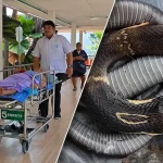 Người phụ nữ 69 tuổi chém chết rắn hổ mang rồi bình tĩnh mang xác rắn đến bệnh viện kenhtingame com thumb nguoi phu nu 69 tuoi chem chet ran ho mang roi binh tinh mang xac ran den benh vien aca21777558044566 940w