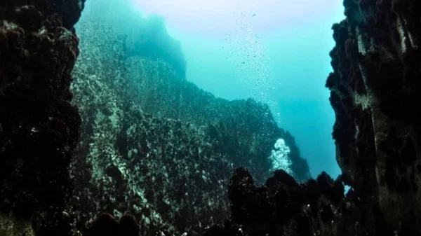 Nhấc một phiến đá lên từ độ sâu 2.515m, các nhà khoa học phát hiện "một thế giới không nên tồn tại" kenhtingame com thumb nhac mot phien da len tu do sau 2515m cac nha khoa hoc phat hien quot mot the gioi khong nen ton tai quot 60e21777392664502 940w