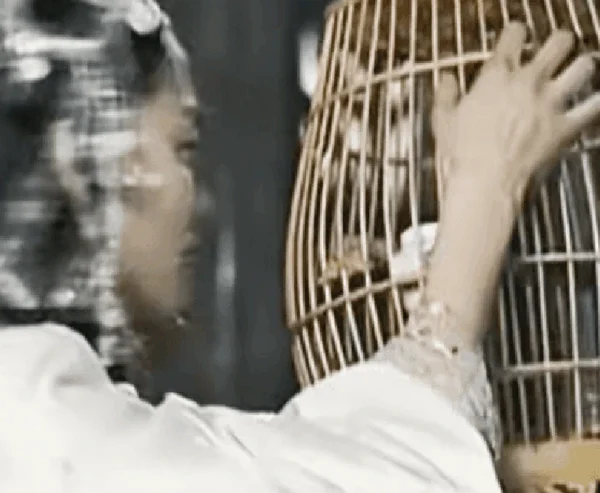 Nói về casting thì phim Trung Quốc này vô địch thiên hạ: Mấy chục nhân vật y hệt nguyên tác, chưa xem chưa phải dân chơi kenhtingame com thumb noi ve casting thi phim trung quoc nay vo dich thien ha may chuc nhan vat y het nguyen tac chua xem chua phai dan choi 24261776924483773 940w