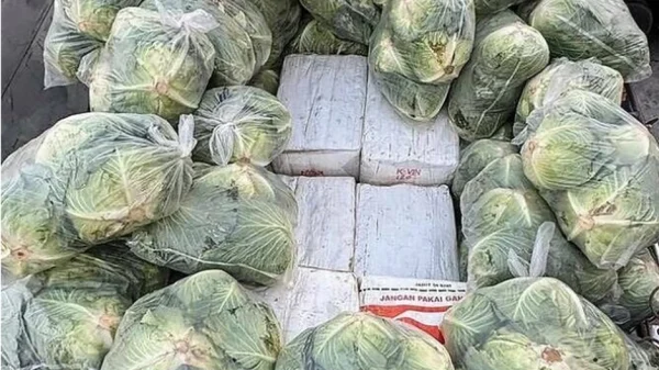 Phát hiện 1.600 kg ma túy đội lốt bắp cải kenhtingame com thumb phat hien 1600 kg ma tuy doi lot bap cai 2cb41775639883376 940w