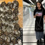 Phát hiện 30 con rùa trong người cô gái 19 tuổi chuẩn bị lên chuyến bay Vietjet Air Thái Lan kenhtingame com thumb phat hien 30 con rua trong nguoi co gai 19 tuoi chuan bi len chuyen bay vietjet air thai lan dee01777555116010 940w