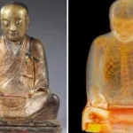 Quét CT bên trong pho tượng Phật 1.000 năm tuổi, phát hiện xác ướp nhà sư với ruột gan biến mất, thay bằng những mảnh giấy nhỏ đầy mật mã bí ẩn kenhtingame com thumb quet ct ben trong pho tuong phat 1000 nam tuoi phat hien xac uop nha su voi ruot gan bien mat thay bang nhung manh giay nho day mat ma bi an 7c2e1775104014675 940w