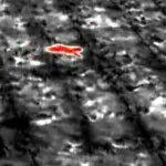 Sinh vật bí ẩn phá nát vườn chuối suốt 2 tuần: 60 người truy tìm khi camera nhiệt ghi lại bóng dáng lạ kenhtingame com thumb sinh vat bi an pha nat vuon chuoi suot 2 tuan 60 nguoi truy tim khi camera nhiet ghi lai bong dang la 85711775632675759 940w