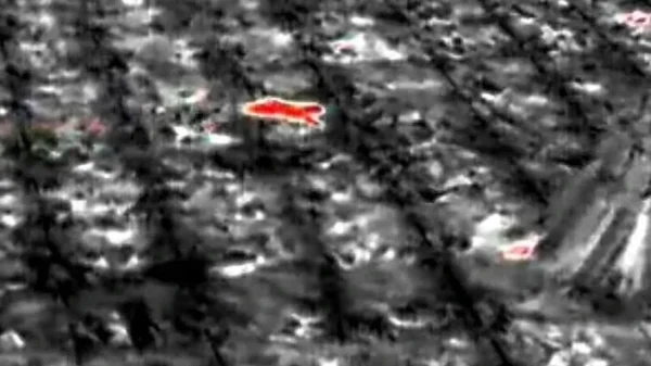 Sinh vật bí ẩn phá nát vườn chuối suốt 2 tuần: 60 người truy tìm khi camera nhiệt ghi lại bóng dáng lạ kenhtingame com thumb sinh vat bi an pha nat vuon chuoi suot 2 tuan 60 nguoi truy tim khi camera nhiet ghi lai bong dang la 85711775632675759 940w