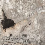 Thủy quái 145 triệu tuổi chưa rõ loài gì "trỗi dậy" ở Cuba kenhtingame com thumb thuy quai 145 trieu tuoi chua ro loai gi quot troi day quot o cuba fde91775448479632 940w