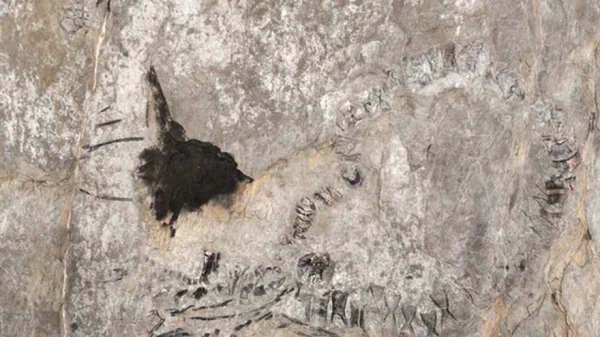 Thủy quái 145 triệu tuổi chưa rõ loài gì "trỗi dậy" ở Cuba kenhtingame com thumb thuy quai 145 trieu tuoi chua ro loai gi quot troi day quot o cuba fde91775448479632 940w