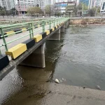 Vụ vali chứa thi thể ở trung tâm thành phố: Bắt giữ con gái và con rể nạn nhân kenhtingame com thumb vu vali chua thi the o trung tam thanh pho bat giu con gai va con re nan nhan 17221775031431034 940w