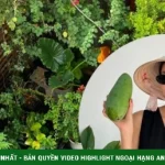 Vườn rau sạch trong biệt thự 500 m2 của Tăng Thanh Hà kenhtingame com thumb vuon rau sach trong biet thu 500 m2 cua tang thanh ha 4b611776914004941 940w