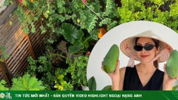 Vườn rau sạch trong biệt thự 500 m2 của Tăng Thanh Hà kenhtingame com thumb vuon rau sach trong biet thu 500 m2 cua tang thanh ha 4b611776914004941 940w