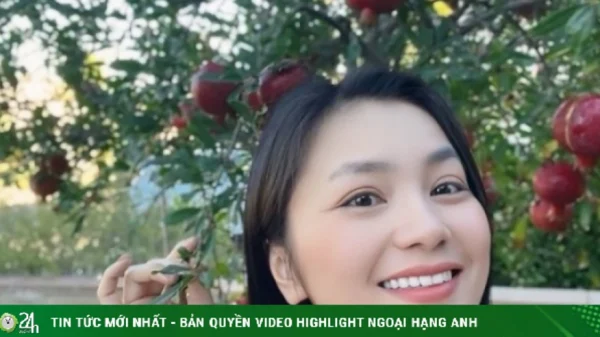 Vườn rau trong biệt thự nhà Diệu Hương ở Mỹ kenhtingame com thumb vuon rau trong biet thu nha dieu huong o m a17e1777475994422 940w