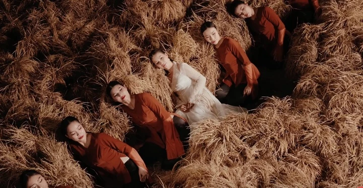 Tranh cãi "Lúa chín không cúi đầu": Chuyên gia nói ca từ khiên cưỡng, sai bản chất văn hóa