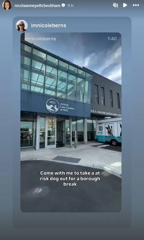 Vợ Brooklyn bị nghi cà khịa mẹ chồng đúng dịp sinh nhật