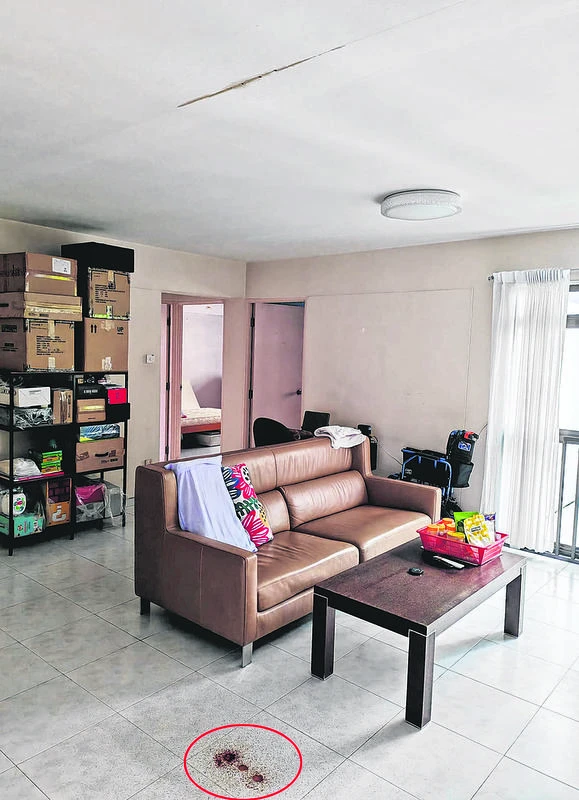 Vụ phát hiện cha và con gái tử vong trong 1 căn hộ ở Singapore: Chi tiết bất thường về thi thể người con