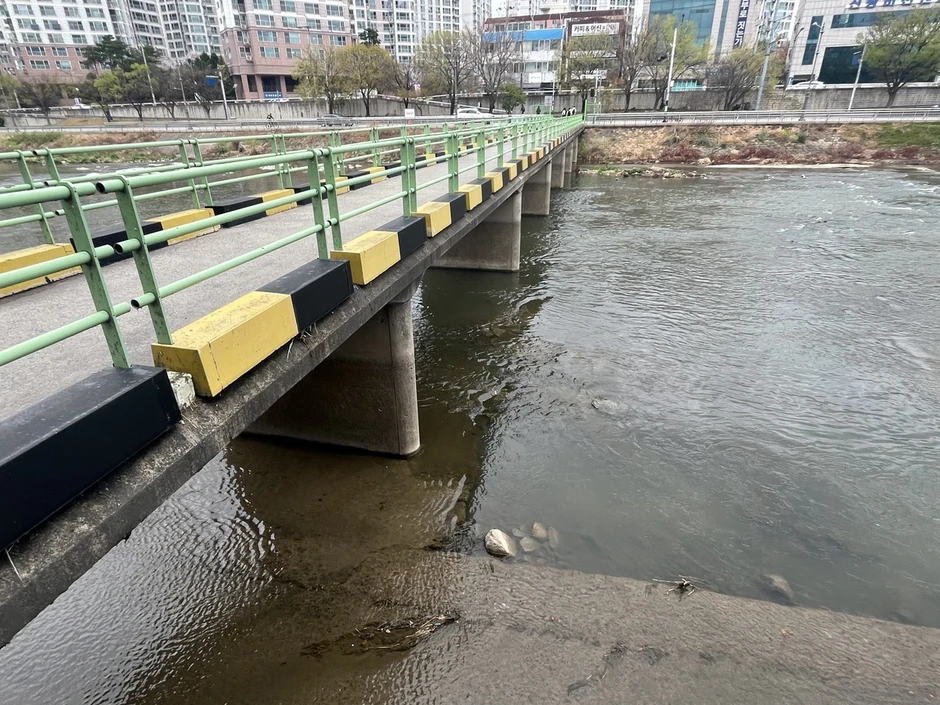 Vụ vali chứa thi thể ở trung tâm thành phố: Bắt giữ con gái và con rể nạn nhân