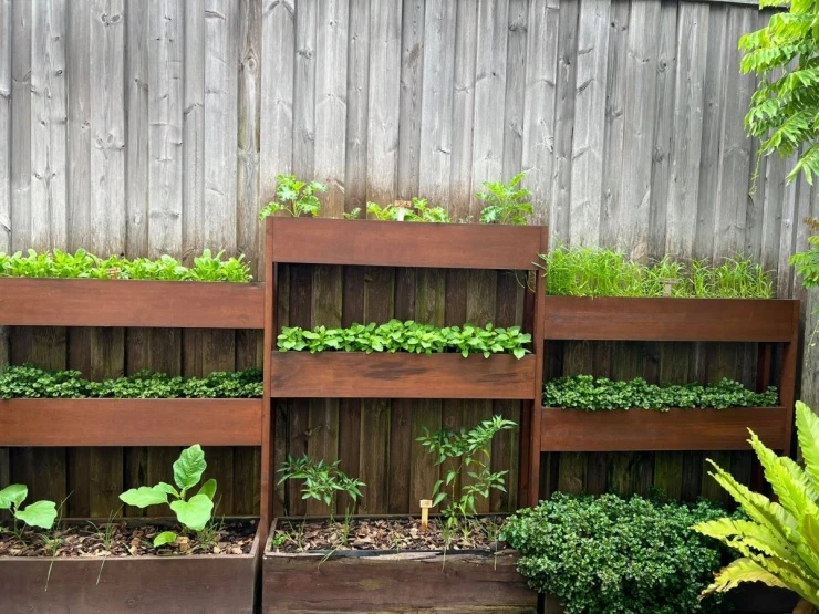 Vườn rau sạch trong biệt thự 500 m2 của Tăng Thanh Hà