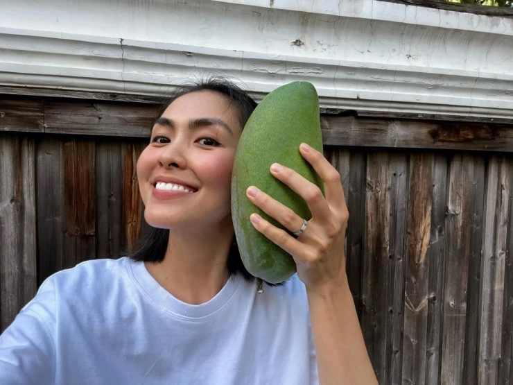 Vườn rau sạch trong biệt thự 500 m2 của Tăng Thanh Hà