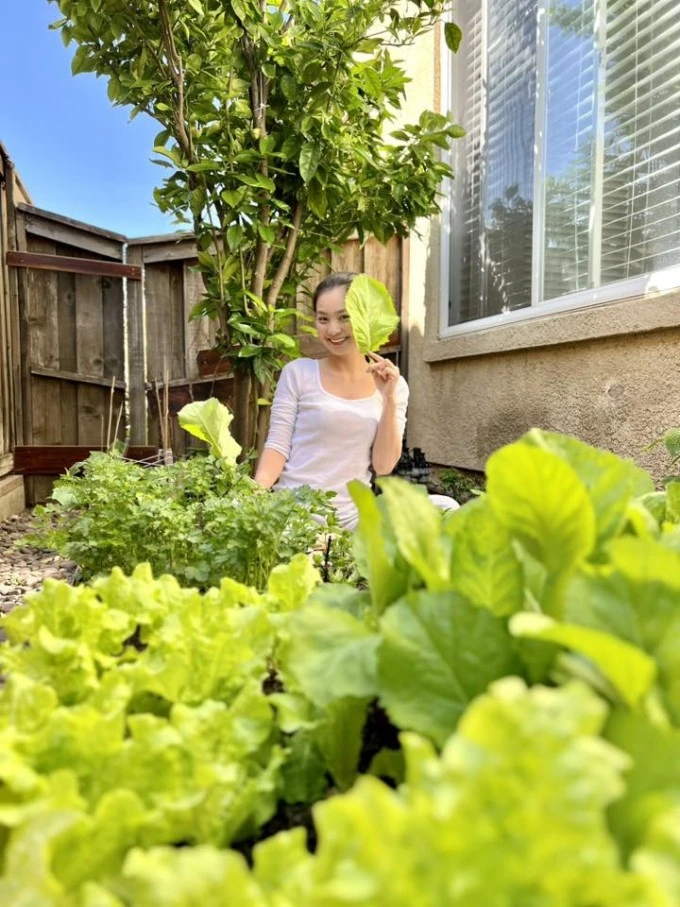 Vườn rau trong biệt thự nhà Diệu Hương ở Mỹ