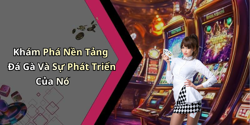 image-20260514112815-10-1 Khám Phá Nền Tảng Đá Gà Và Sự Phát Triển Của Nó