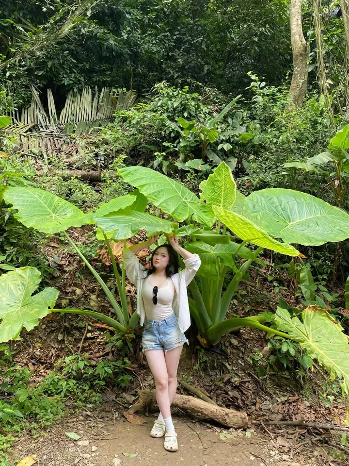 Bộ ảnh "núi rừng" không góc chết của hot girl xinh đẹp, hot rần rần MXH những ngày vừa qua