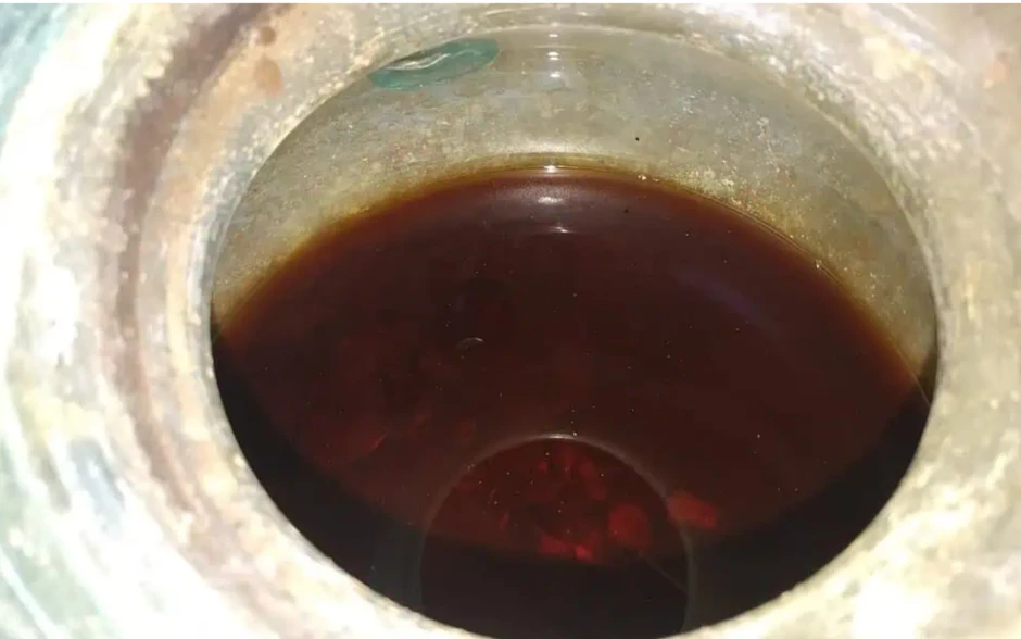 Các nhà khoa học đã mở một ngôi mộ bí mật 2.000 năm tuổi ở Tây Ban Nha và phát hiện một thứ không ngờ