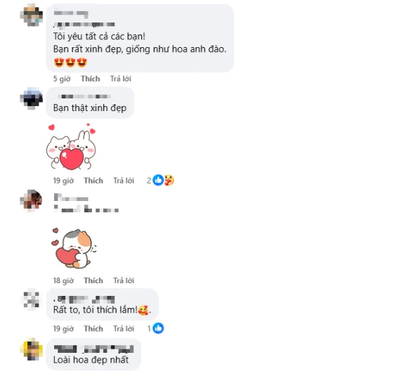 Ngây ngất với bộ ảnh hoa đào của nữ coser nổi tiếng, cảnh đẹp mê ly khiến người xem hết lời khen ngợi Ngây ngất với bộ ảnh hoa đào của nữ coser nổi tiếng, cảnh đẹp mê ly khiến người xem hết lời khen ngợi