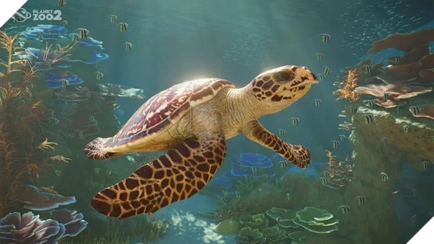Planet Zoo 2 Chính Thức Công Bố, Lần Đầu Tiên Có Động Vật Bay Và Sinh Vật Biển