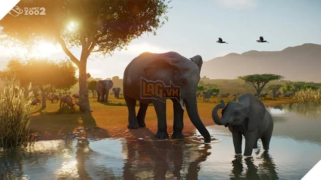 Planet Zoo 2 Chính Thức Công Bố, Lần Đầu Tiên Có Động Vật Bay Và Sinh Vật Biển