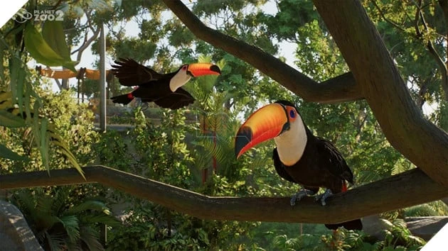 Planet Zoo 2 Chính Thức Công Bố, Lần Đầu Tiên Có Động Vật Bay Và Sinh Vật Biển