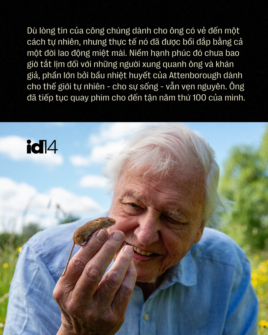 Sir David Attenborough: 100 năm sống, 70 năm làm phim tài liệu và một "hiệu ứng" làm thay đổi thói quen của cả hành tinh