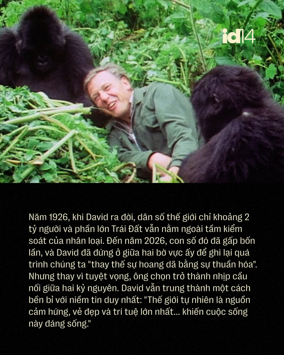 Sir David Attenborough: 100 năm sống, 70 năm làm phim tài liệu và một "hiệu ứng" làm thay đổi thói quen của cả hành tinh