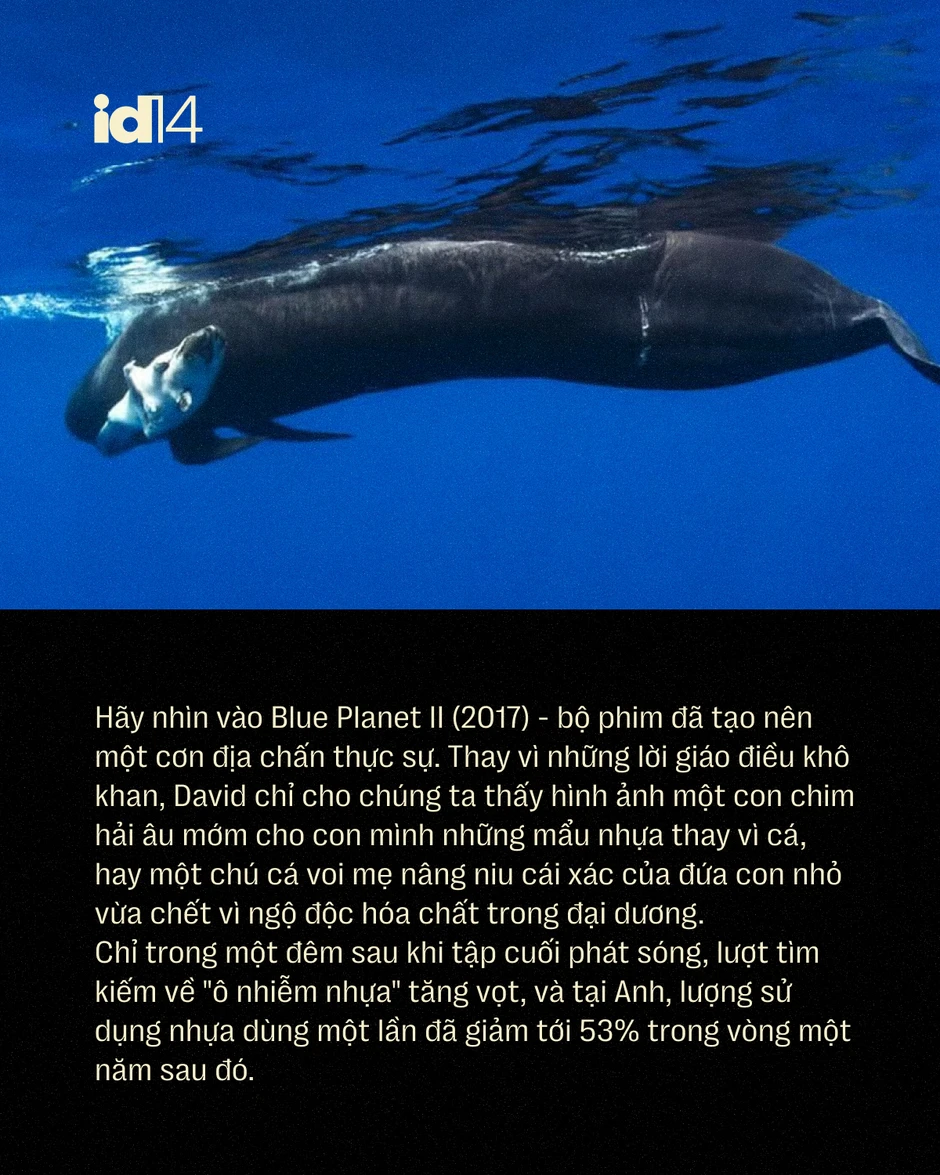 Sir David Attenborough: 100 năm sống, 70 năm làm phim tài liệu và một "hiệu ứng" làm thay đổi thói quen của cả hành tinh