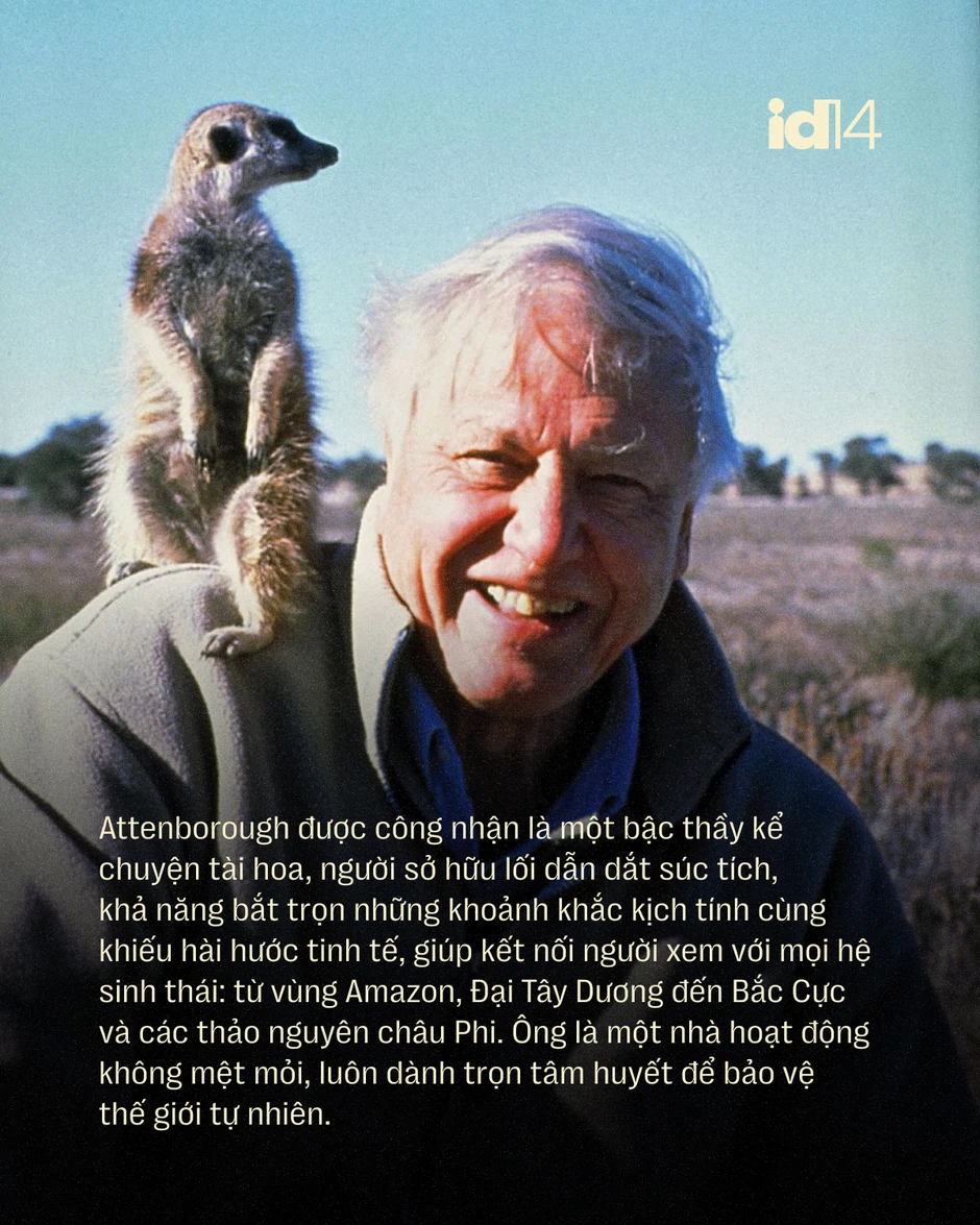 Sir David Attenborough: 100 năm sống, 70 năm làm phim tài liệu và một "hiệu ứng" làm thay đổi thói quen của cả hành tinh