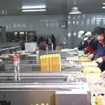 "Đột nhập" nhà máy sản xuất 450.000 quả trứng tươi/ngày, phát hiện "thông tin" về dây chuyền chế biến được đầu tư hơn 193 tỷ đồng kenhtingame com thumb quot dot nhap quot nha may san xuat 450000 qua trung tuoi ngay phat hien quot thong tin quot ve day chuyen che bien duoc dau tu hon 193 ty dong ed7c1779643646307 940w