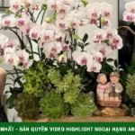 Ảnh sao 20/5: Lệ Quyên thăm nhà phố ba tầng của Hà Nhi kenhtingame com thumb anh sao 20 5 le quyen tham nha pho ba tang cua ha nhi cead1779273213006 940w
