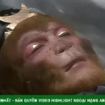 Cảnh phim nguy hiểm nhất Tây du ký khiến Tôn Ngộ Không suýt mất mạng kenhtingame com thumb canh phim nguy hiem nhat tay du ky khien ton ngo khong suyt mat mang 977f1779817849206 940w