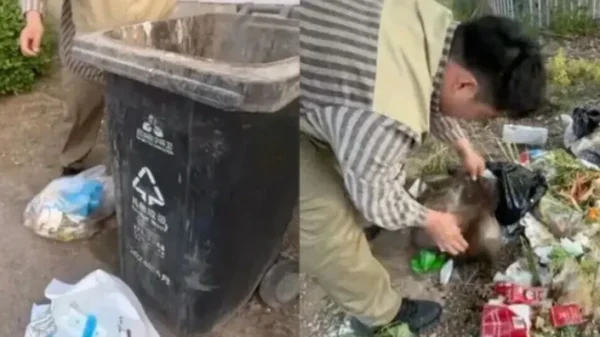 Đơn hàng hơn 730.000 nghìn đồng gây bão MXH: Chủ shop lái xe 1.600 km truy tìm khách mua, cảnh sát vào cuộc điều tra kenhtingame com thumb don hang hon 730000 nghin dong gay bao mxh chu shop lai xe 1600 km truy tim khach mua canh sat vao cuoc dieu tra 92f41778341064422 940w