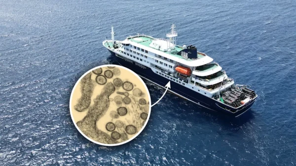 Du thuyền chở 147 người mắc kẹt trên biển vì bùng phát virus hiếm gặp, 3 người đã tử vong: WHO điều tra khẩn kenhtingame com thumb du thuyen cho 147 nguoi mac ket tren bien vi bung phat virus hiem gap 3 nguoi da tu vong who dieu tra khan b5d61778071549070 940w