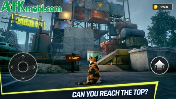 Going Up Cat Runner 3D với chủ đề kết hợp Only Up! và Stray kenhtingame com thumb going up cat runner 3d voi chu de ket hop only up va stray 1b441777743157418 940w