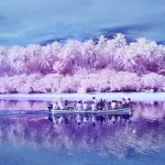 Hòn đảo nơi người dân hầu hết đều bị mù màu: Mọi chuyện bắt đầu vào năm 1775 kenhtingame com thumb hon dao noi nguoi dan hau het deu bi mu mau moi chuyen bat dau vao nam 1775 9e451778428568472 940w